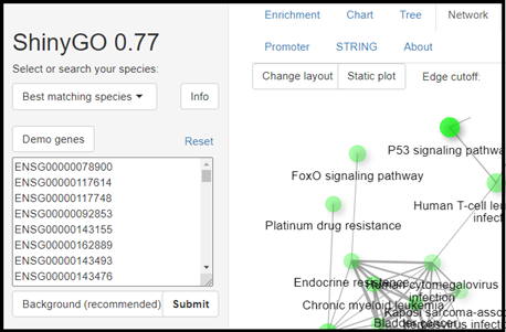 Developing Shiny apps: a road map from beginner to pro - Ge lab